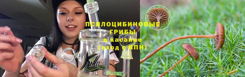 даркнет сайт  Тарко-Сале  Псилоцибиновые грибы Psilocybe 